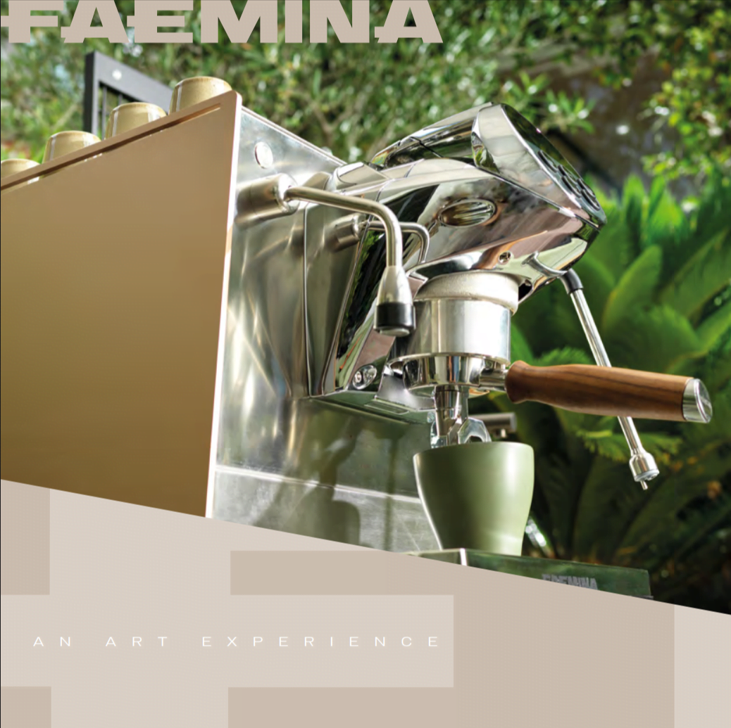 Faemina commercial coffee machine